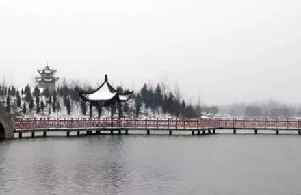 七大美女齐聚信阳！看看她们都是谁?