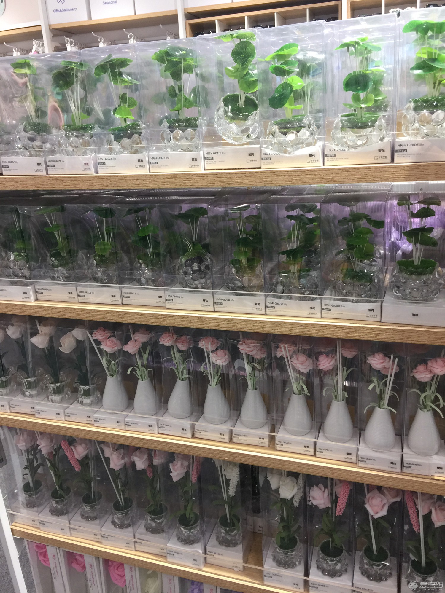 洛阳这些好看不贵的家居饰品店，撩拨你的少女心~