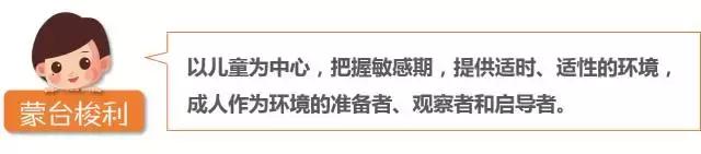 仅需10分钟，轻松搞清蒙氏、华德福、瑞吉欧三大幼教体系