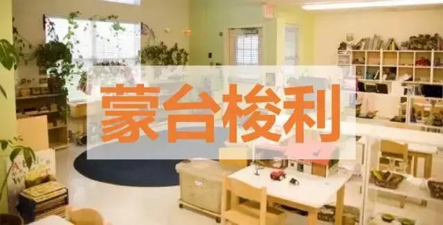 仅需10分钟，轻松搞清蒙氏、华德福、瑞吉欧三大幼教体系