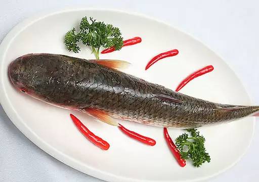 别买错了这9种鱼最适合宝宝吃,什么鱼适合宝宝吃没有刺