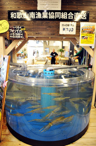 jr大阪一日游,大阪jr旅游攻略