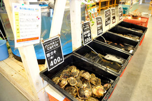 jr大阪一日游,大阪jr旅游攻略