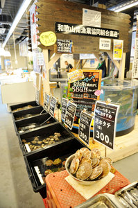 jr大阪一日游,大阪jr旅游攻略