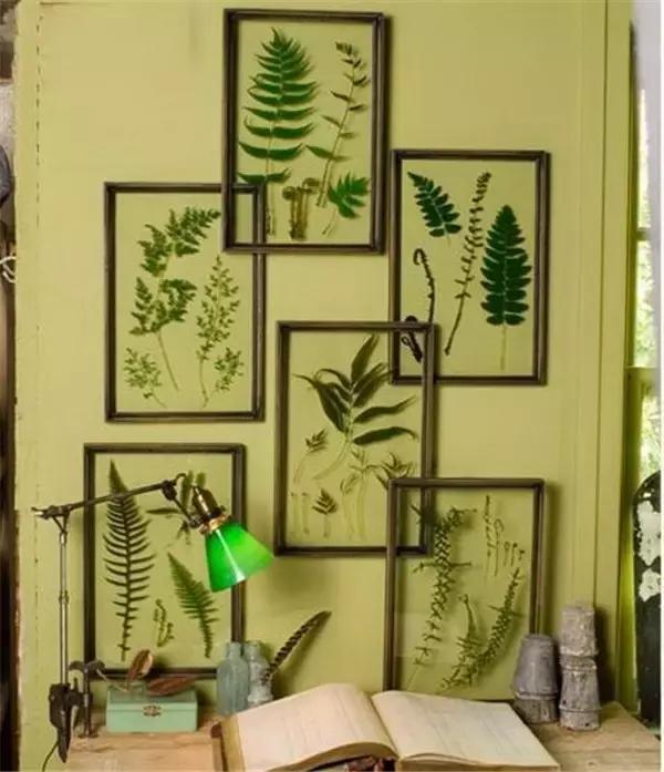 家里再穷也要丢掉的绿植,绿植盆栽都扔了