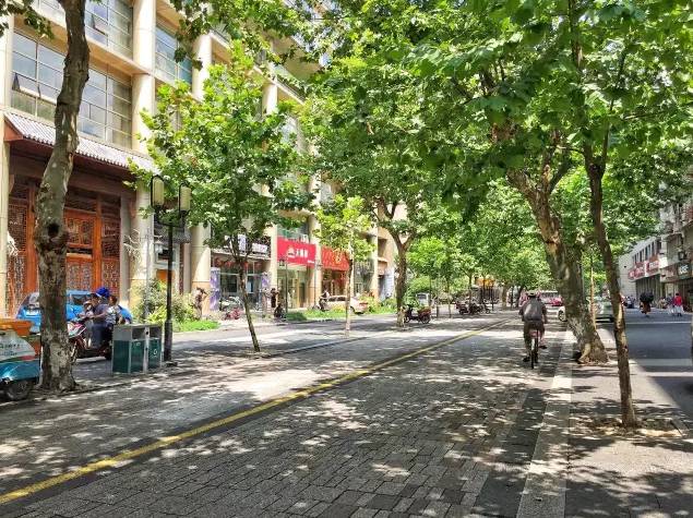 杭州百年老字号店,杭州老字号国货品牌小商品店