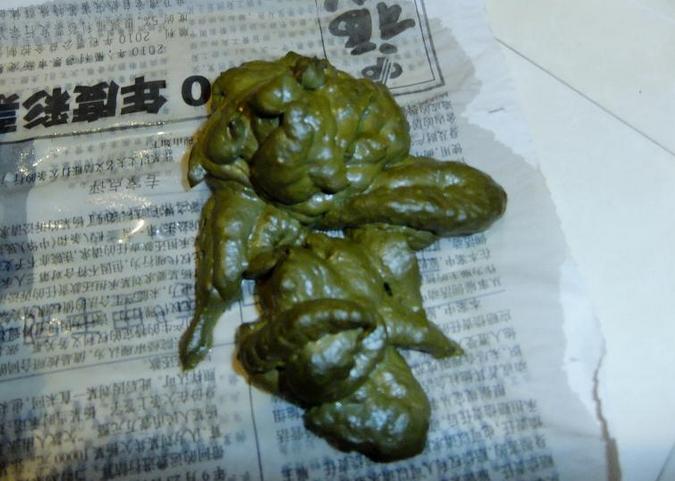 狗狗的屎不臭,狗狗的粪便少了是什么原因