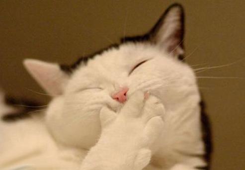 林正英演的鬼片免费版全集,吴君如林正英鬼片搞笑片段