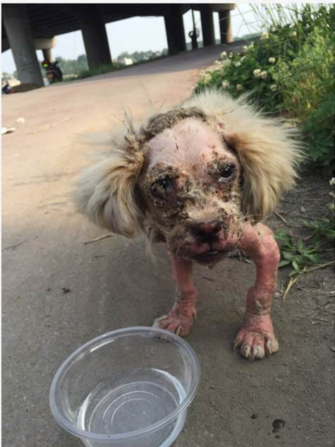 虽然你像怪物，但是我们也会伸出援手