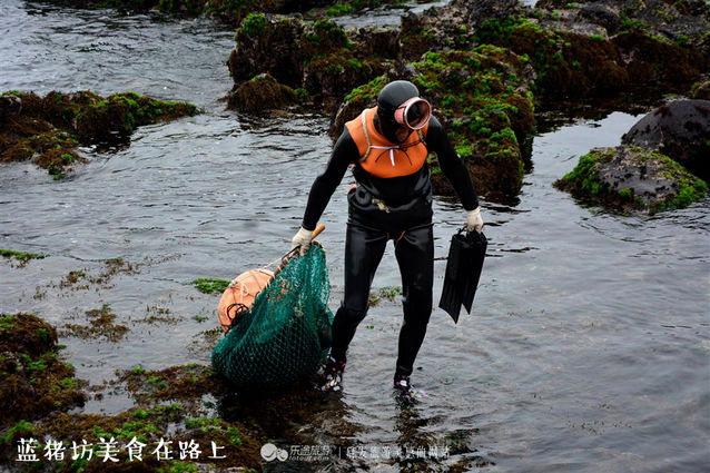 济州岛哪里吃海鲜便宜,到济州岛旅游买什么海鲜