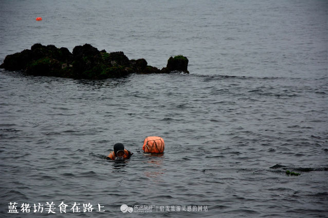 济州岛哪里吃海鲜便宜,到济州岛旅游买什么海鲜