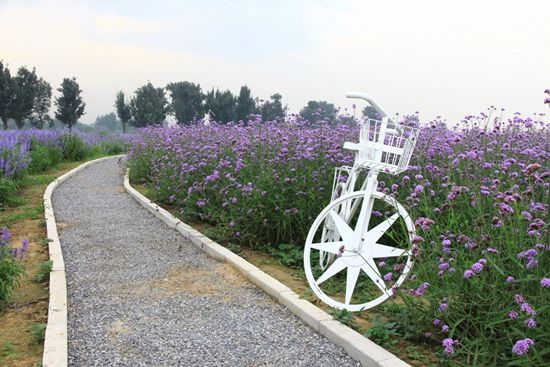 北京情侣约会必去的地方top10,北京情侣约会的最佳地