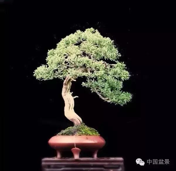 相识满天下知己有几人谁说的,相识满天下知己无一人出处