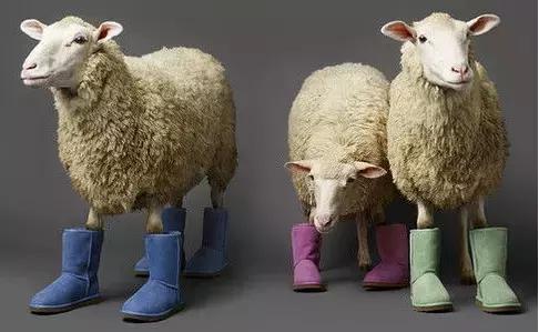 2016澳洲伴手礼清单,澳洲伴手礼推荐