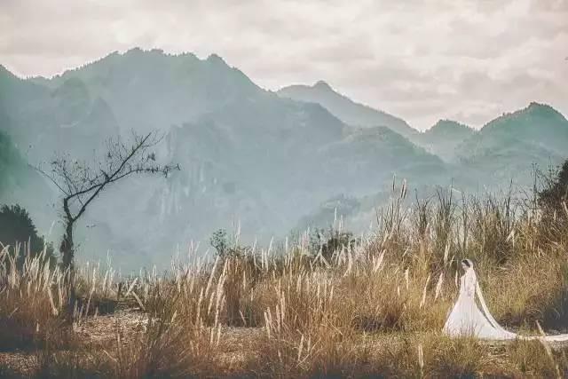 花了一个月工资拍婚纱照值得吗,拍一套婚纱照赚多少钱