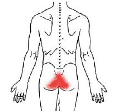字里藏医怎样,字里藏医解读