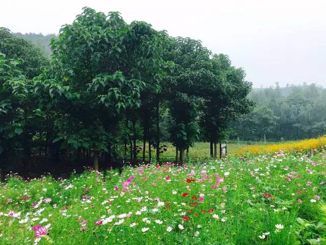 豫西大峡谷漂流价格,豫西大峡谷漂流团购