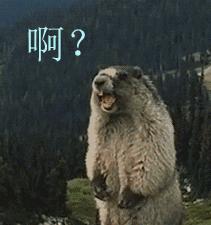 天呐!火的要死「城野医生毛孔水」价格暴涨200%