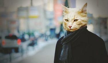 有哪些让你惊艳至今的歌词,那些押韵到无法忘怀的歌词