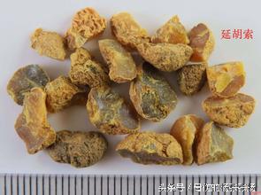 中药里有什么药是有毒的,28种毒性中成药图谱