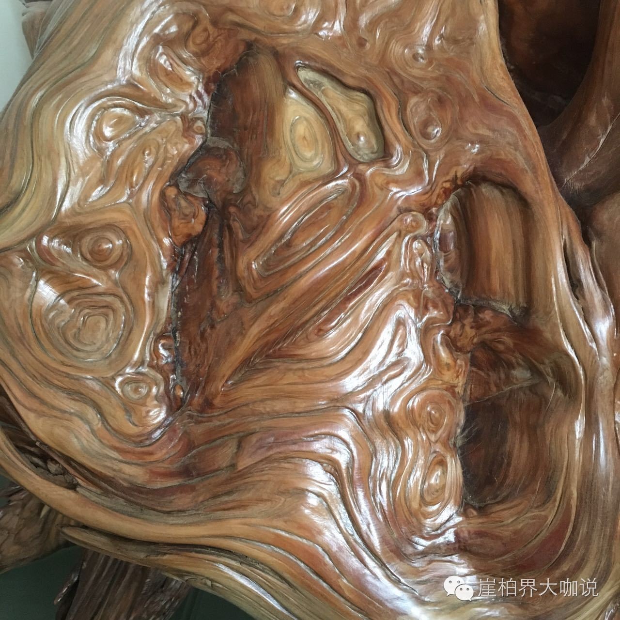 怎样才能买到又便宜又好的崖柏毛料？