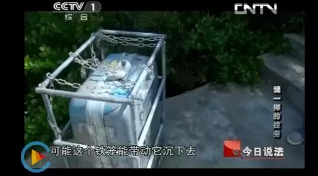 无名女尸被误判,无名女尸被确认真相