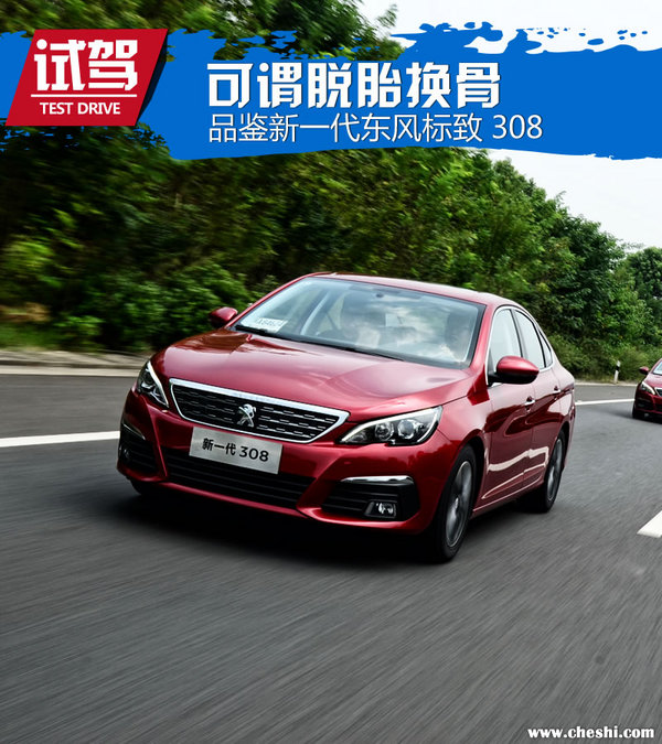 小狮子东风标致308s,小狮子变帅后的样子图片
