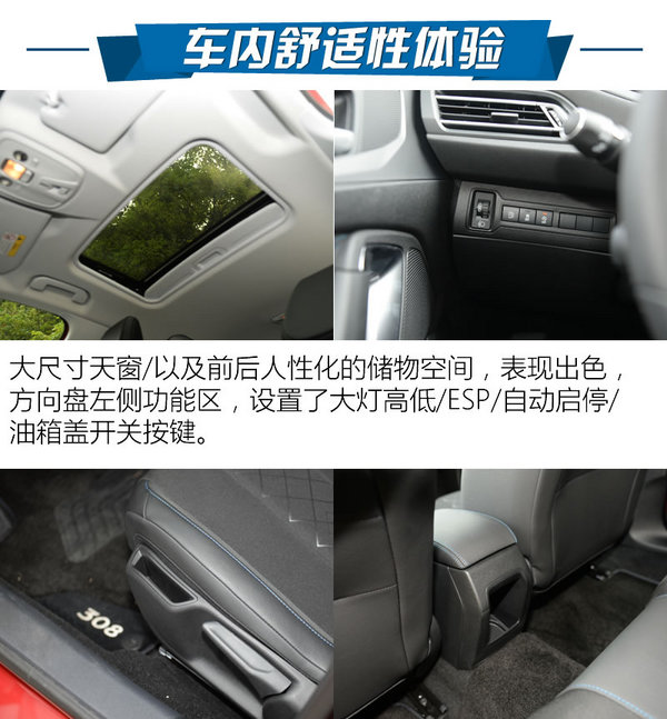 小狮子东风标致308s,小狮子变帅后的样子图片