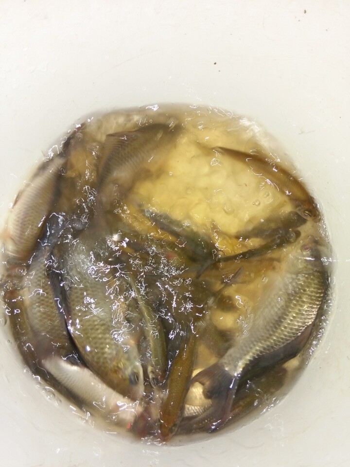 閽撶殑鐢查奔杩樿兘娲诲悧,閽撲笂鏉ョ殑鐢查奔鏈夊繉璁冲悧