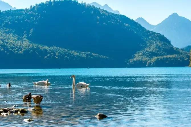 伪摄影师与真正的摄影师,伪摄影师