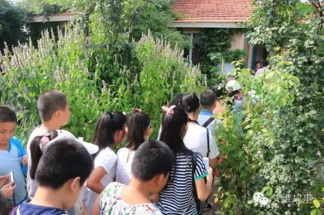 神奇大观园——农场变形记