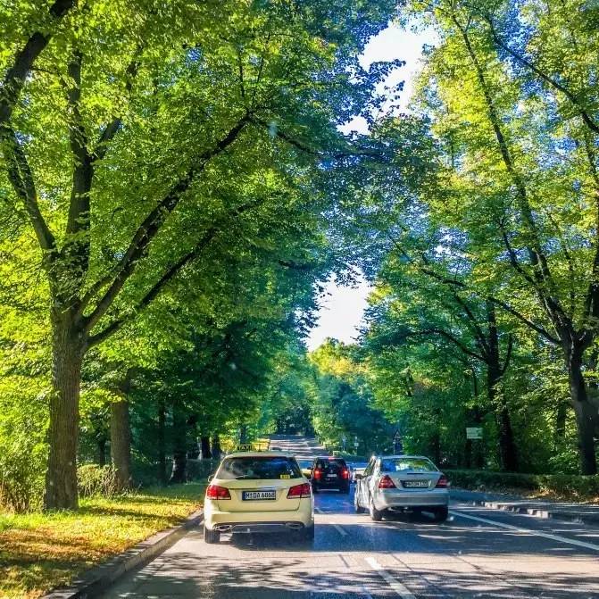 伪摄影师与真正的摄影师,伪摄影师