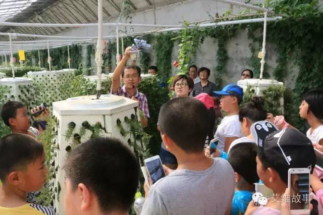 神奇大观园——农场变形记