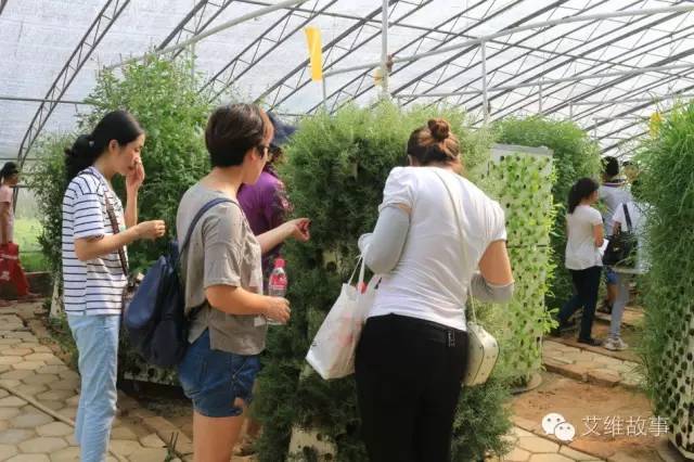 神奇大观园——农场变形记