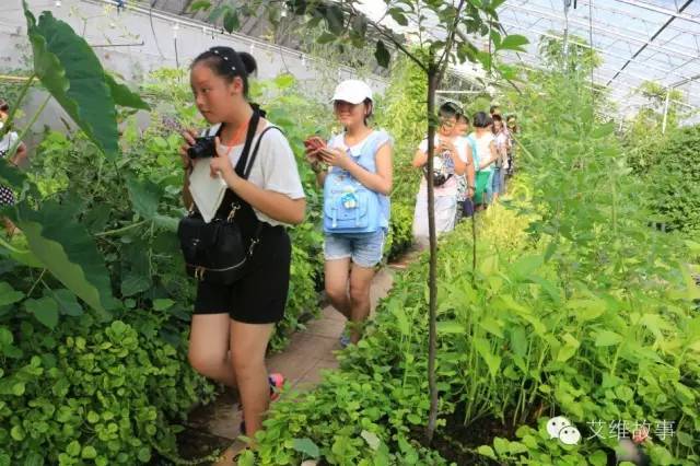 神奇大观园——农场变形记