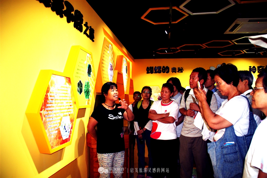 赞皇枣花,石家庄赞皇特产枣花