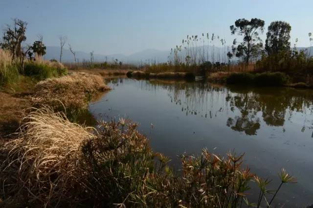西昌邛海公园最新消息,西昌邛海湿地可以从哪个门进去