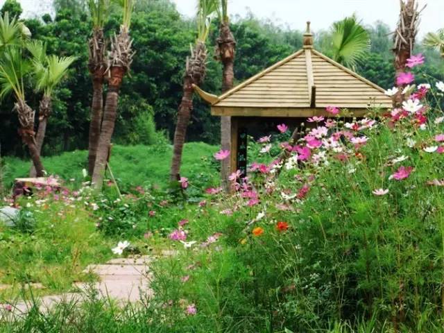 西昌邛海公园最新消息,西昌邛海湿地可以从哪个门进去