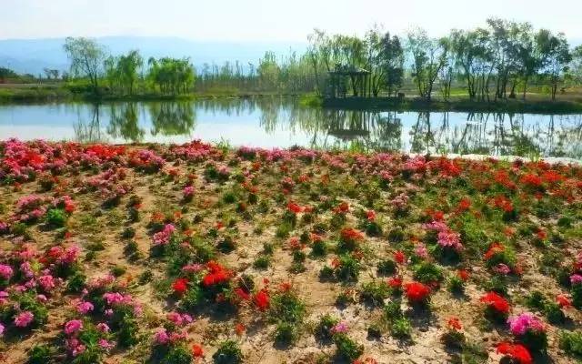 西昌邛海公园最新消息,西昌邛海湿地可以从哪个门进去