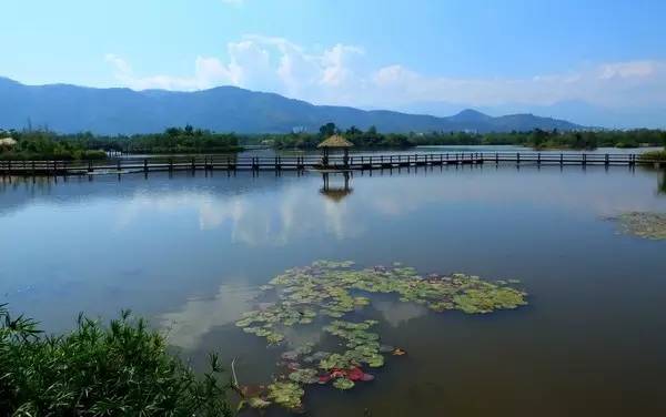 西昌邛海公园最新消息,西昌邛海湿地可以从哪个门进去