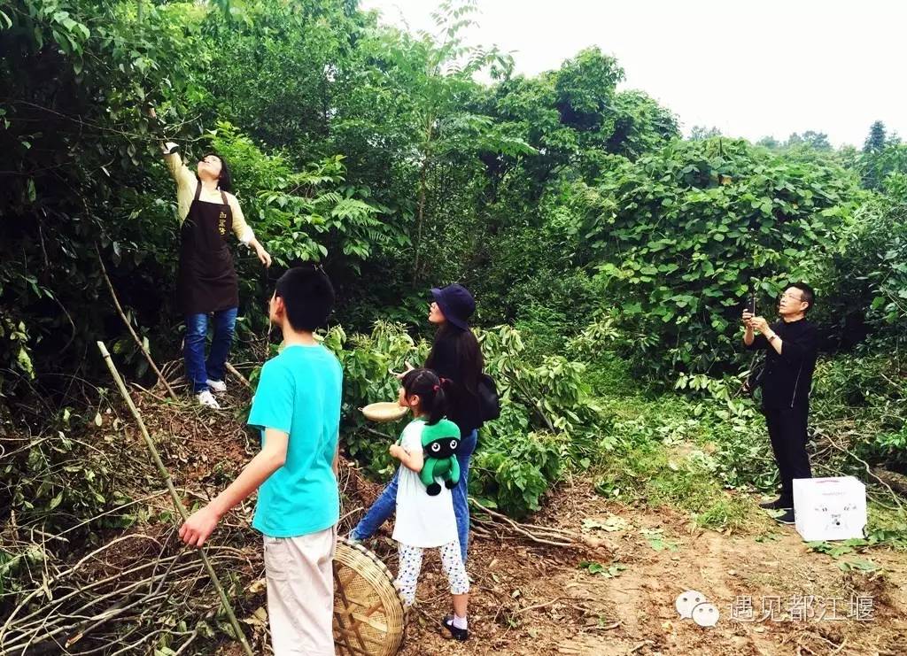 白鹭湾什么样,白鹭湾现在什么样子
