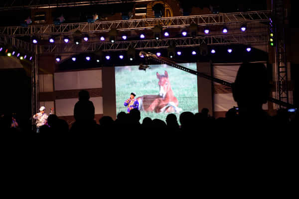 北京北戴河锡林郭勒自驾游,北京和锡林郭勒旅游攻略