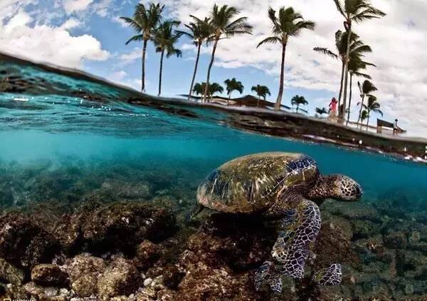 不需要签证的最美海岛,最美海岛免签的地方