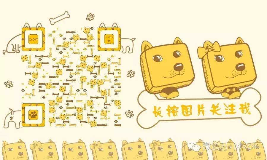 李连杰浪荡江湖,李连杰甄子丹赵文卓主演