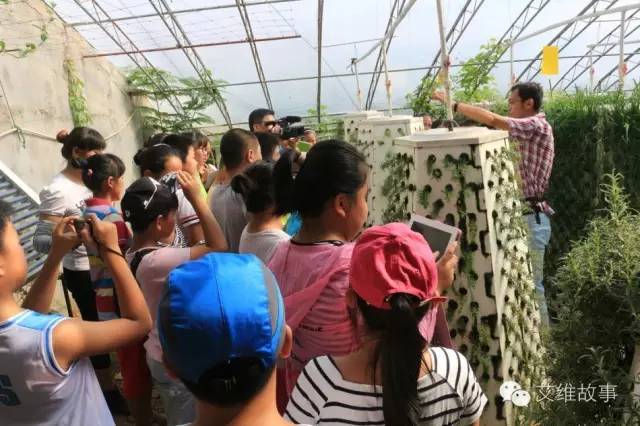 神奇大观园——农场变形记