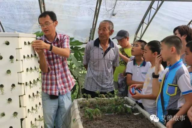 神奇大观园——农场变形记