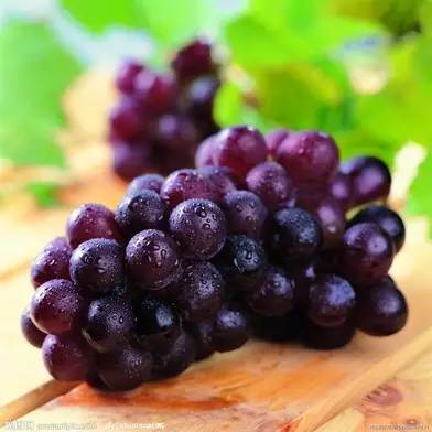 今天处暑,今天处暑节气