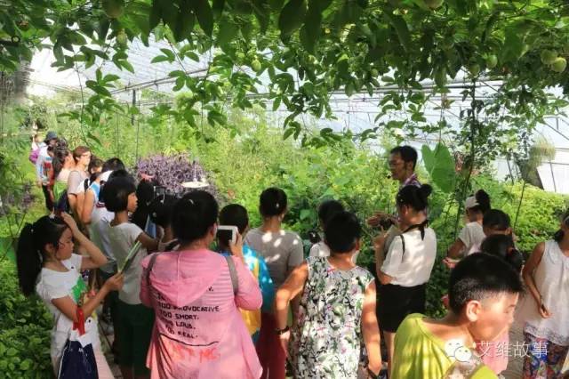 神奇大观园——农场变形记