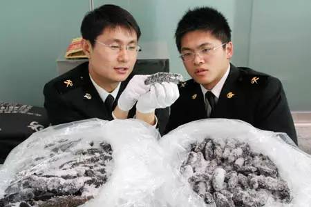 燕窝禁止入境吗,人参花胶燕窝灵芝冬虫夏草海参