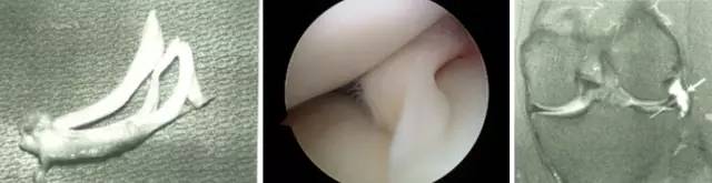 杏林秋实清华长庚骨科·关节外科中心